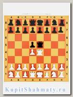Демонстрационные шахматы «Школьник» 80 см